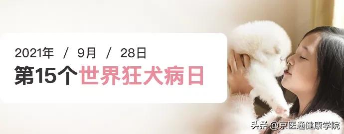 被猫狗抓伤咬伤怎么办,被猫狗抓伤第一步应该怎么处理