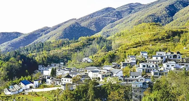 人民网人民小酒,人民小酒