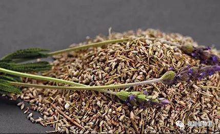 夜夜数羊,不存在的!有了这些助眠小物倒头就睡