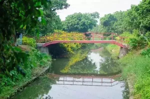 地铁直达!广州15个最适合春游的打卡点,春暖花开超好玩!