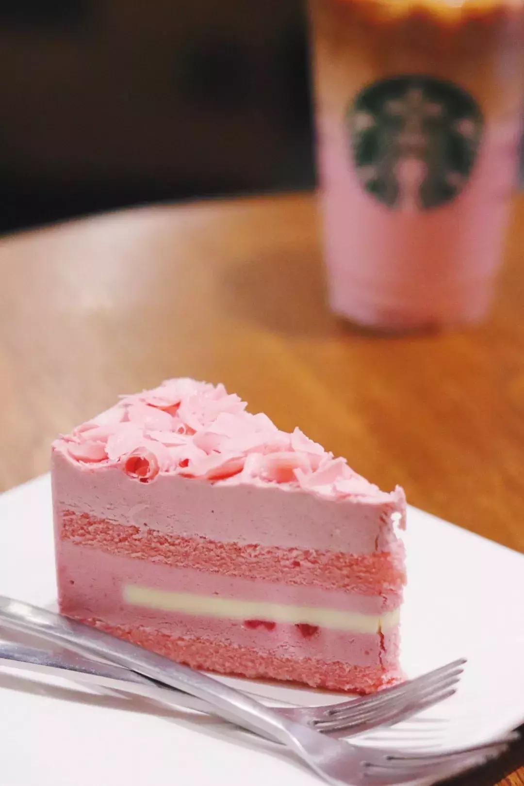 没时间去赏春,没时间去踏青