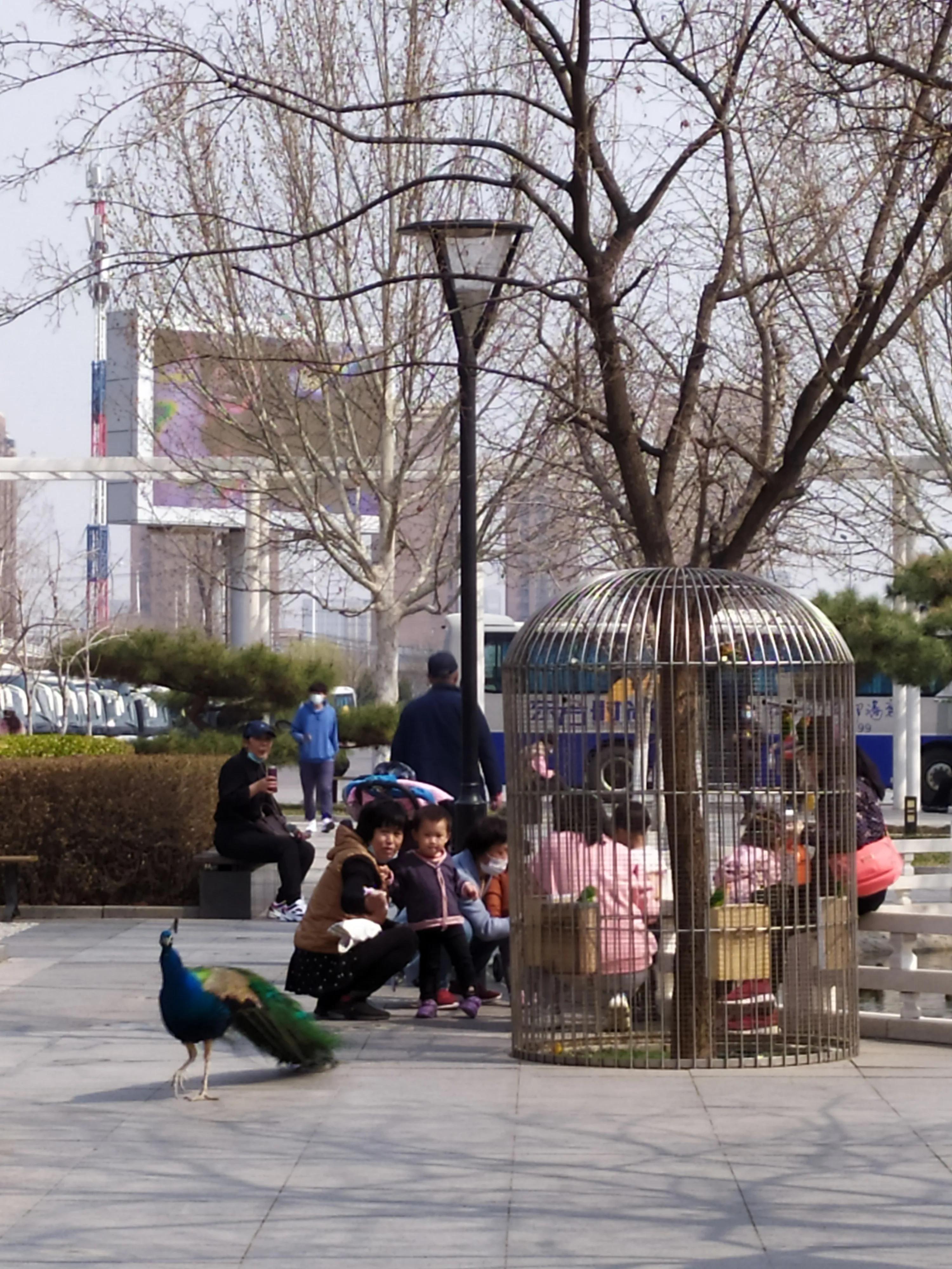 东方时尚驾校微博,东方时尚驾校相关视频