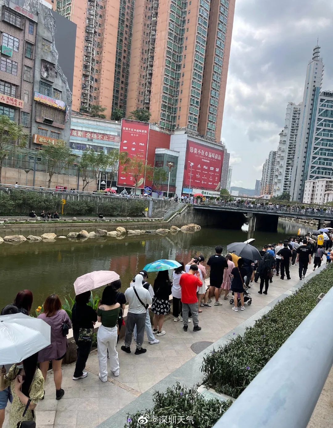 你看到的网红vs现实的网红 (你眼中的网红和真实的网红)