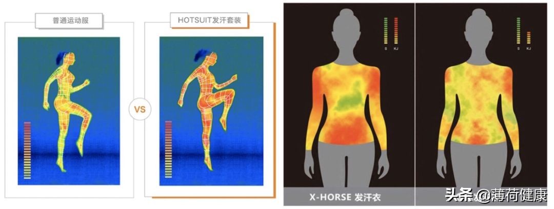 酵素青汁粉真的可以减肥,青汁酵素减肥真的有效果吗