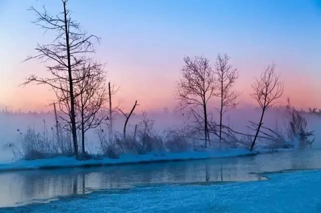 全国各省特产一览表宁夏枸杞,中国各省特产美食一览表