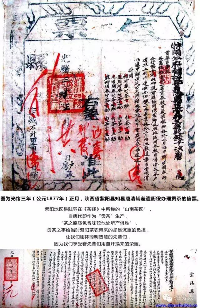 茶眼看陕西,茶眼看陕西最新视频