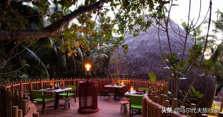 马尔代夫伊露岛蜜月游,马尔代夫niyama岛