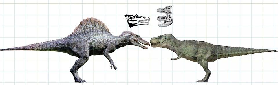 《侏罗纪公园3》棘龙打败霸王龙：主角光环实力碾压？