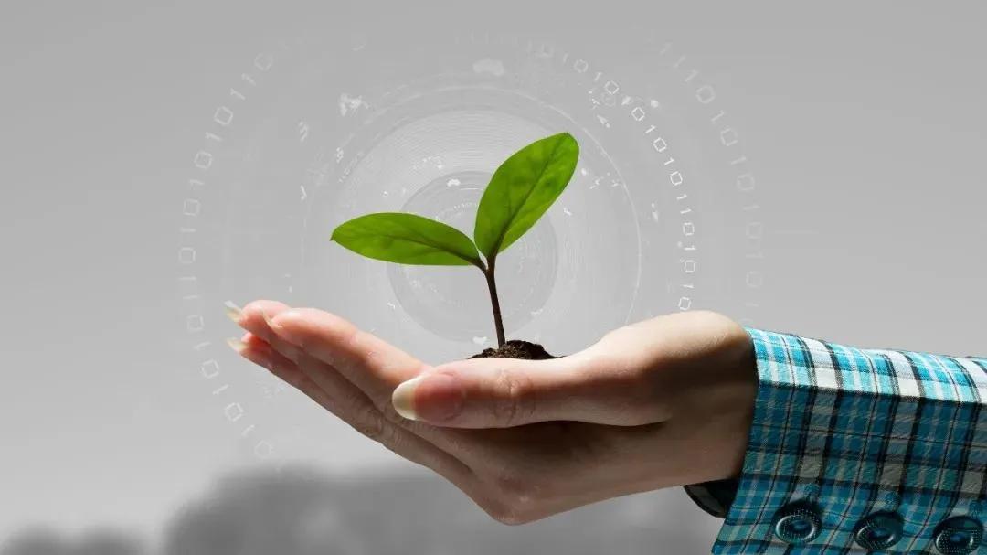 关于举报人肉搜索的新闻,恶意人肉搜索违法吗