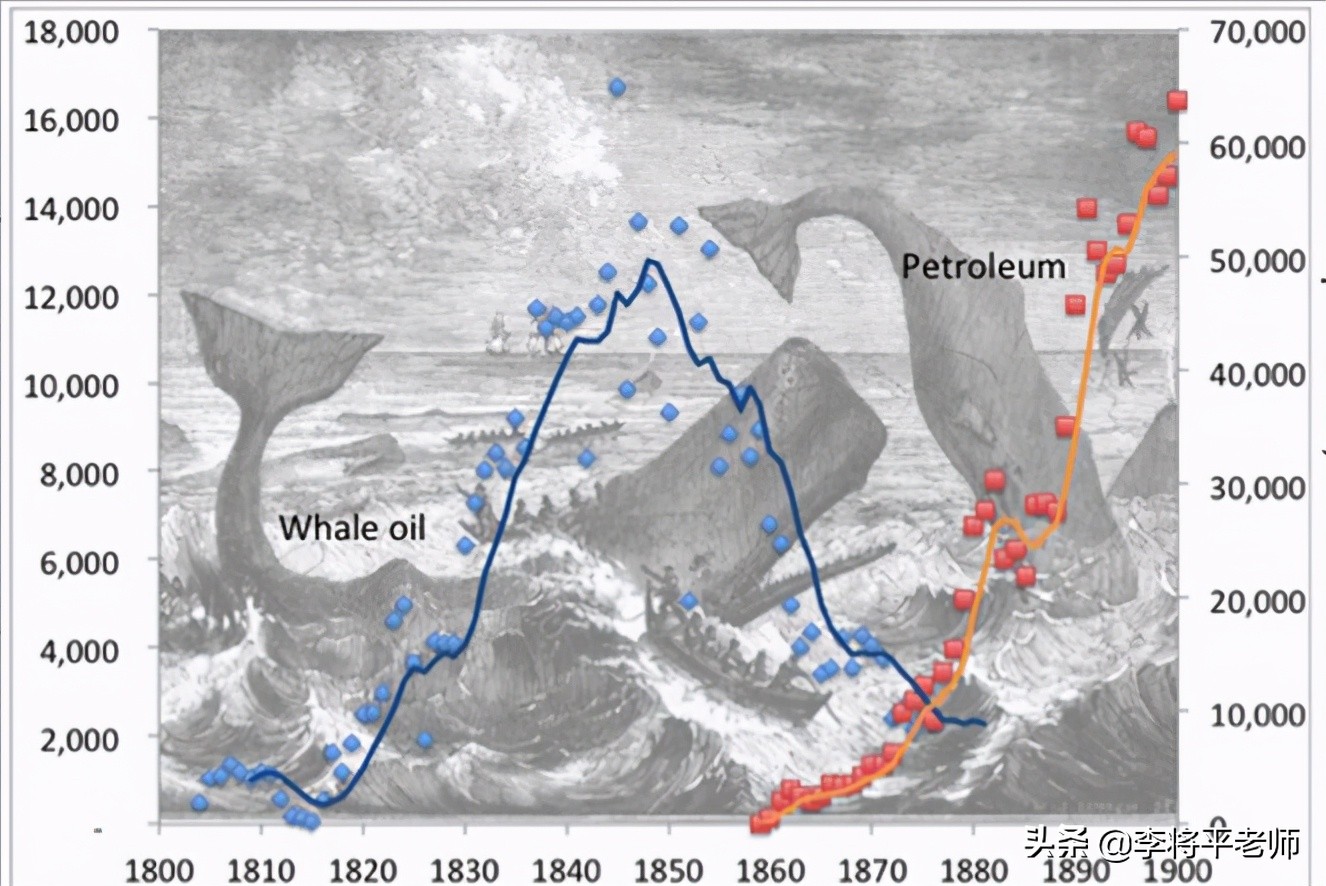 300万头鲸鱼的悲歌，欧美和日本的黑暗捕鲸史，它们驮着欧美文明