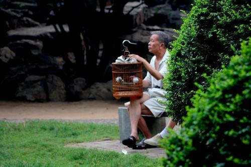 养鸟人10年后的感受,浅谈养鸟的生理与心理的护理