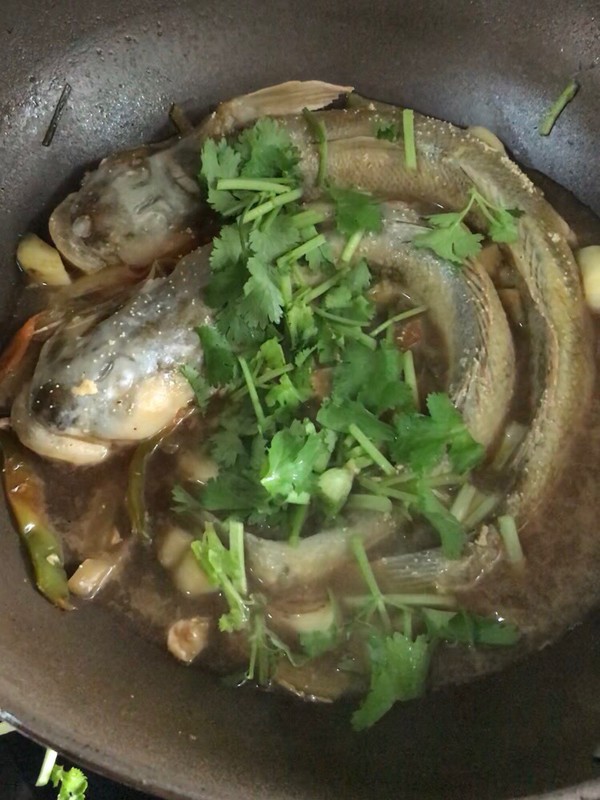 鱼怎么吃又有营养又好吃,鱼是中国美食吗