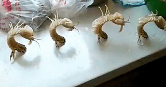 有一种炫富叫青岛开海,有一种炫富叫青岛开海了