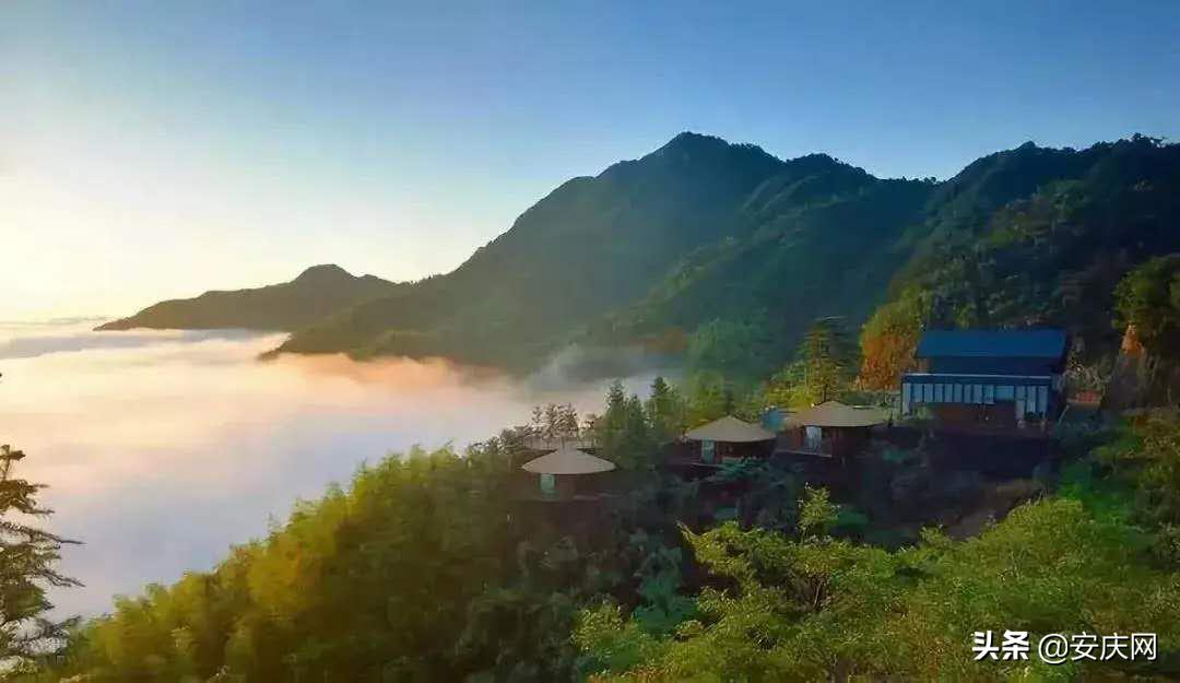 春游江淮请您来︱天柱山海心谷：煮一壶春味品一程人生