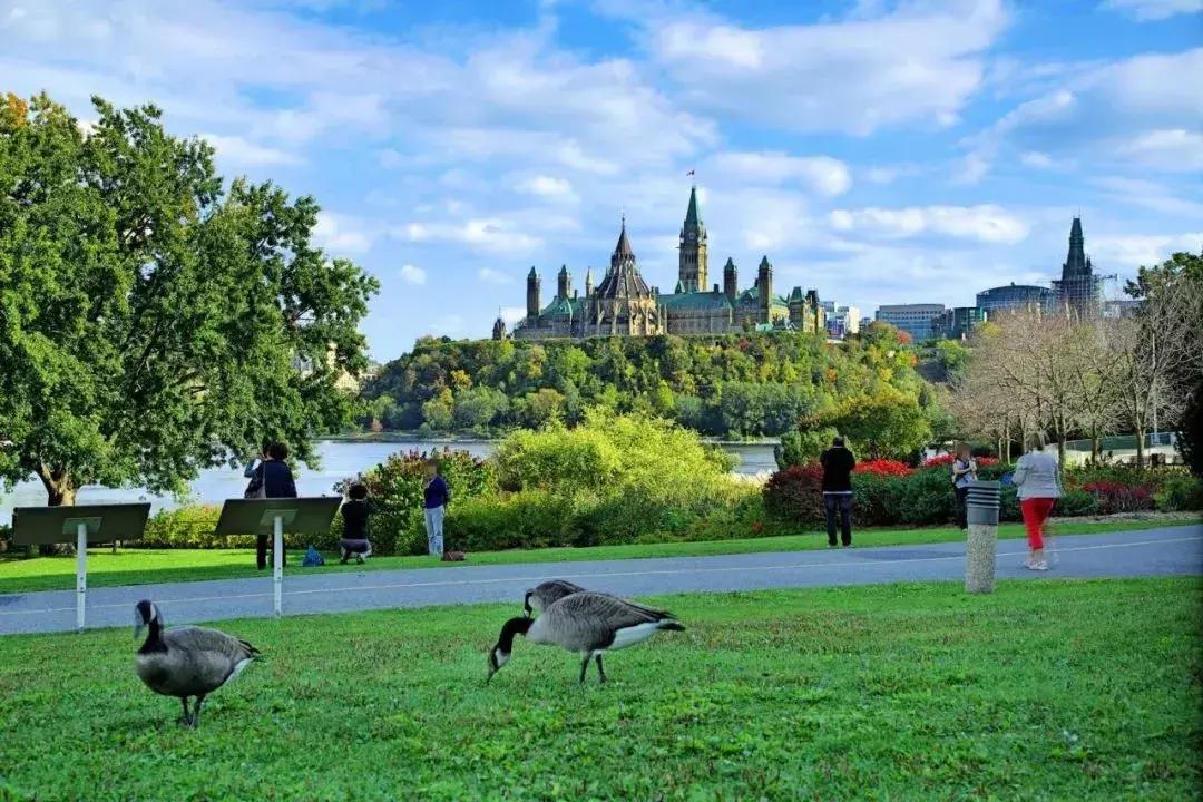 涓浗鑰佷汉鍦ㄧ編鍥界殑鐜扮姸,鑰佷汉绉绘皯缇庡浗濂藉悧