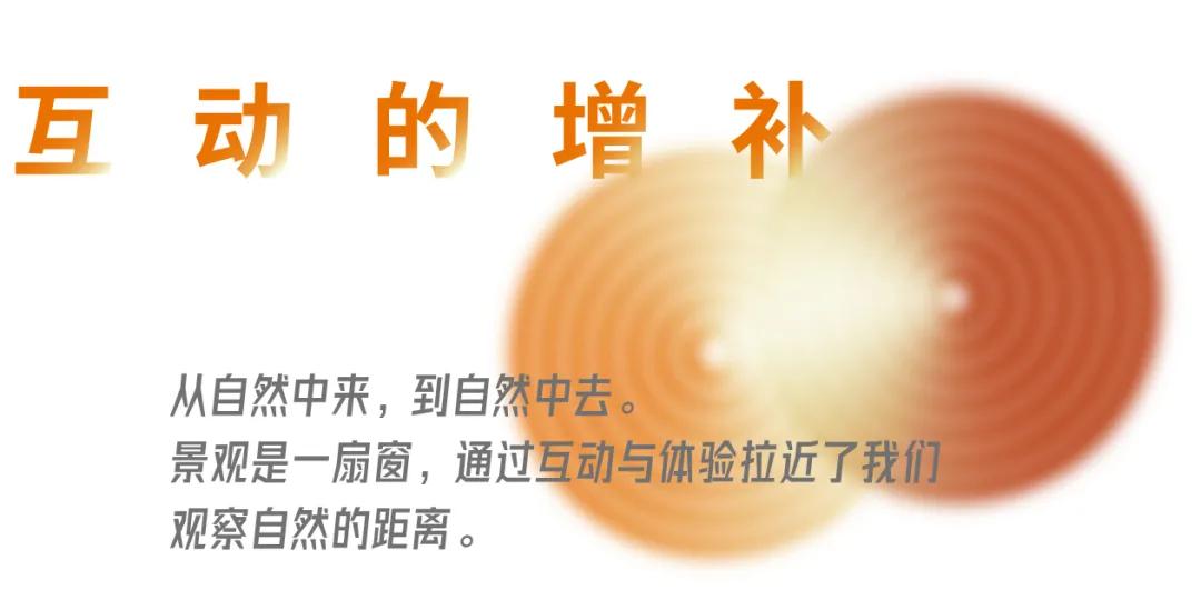 武汉华侨城湿地公园绿化,华侨城生态湿地公园武汉什么区