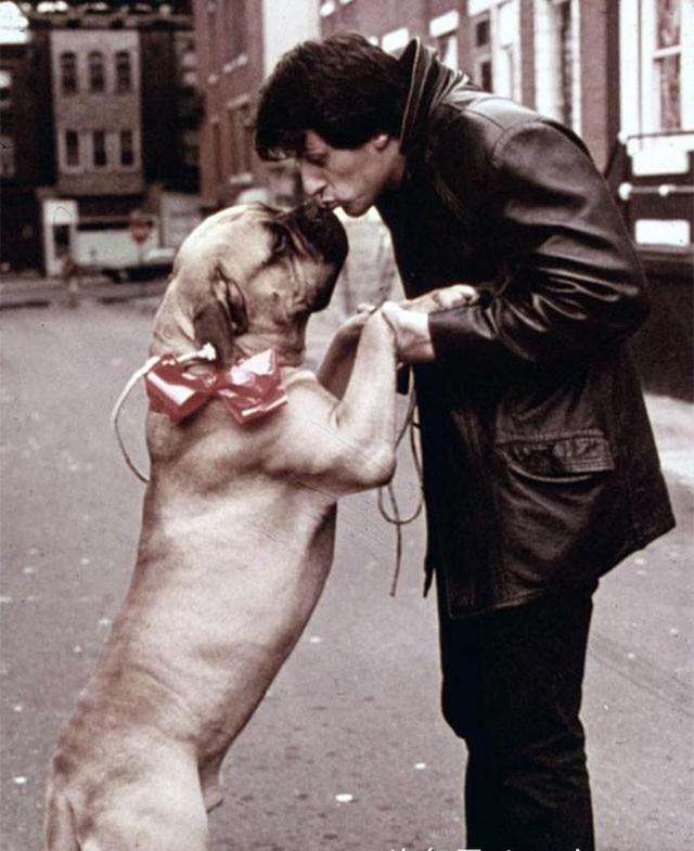 励志台词洛奇,经典的电影台词洛奇