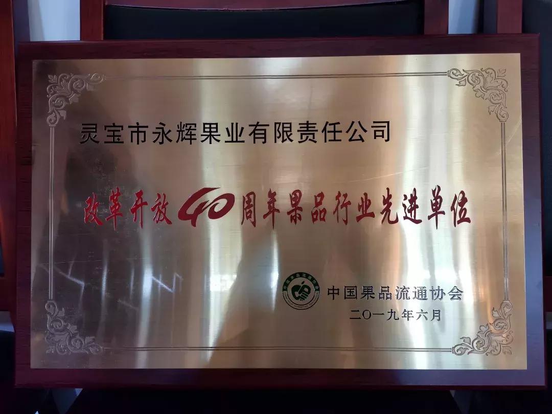 30元一颗的“灵宝金苹果”，如何在跌宕起伏的水果行业稳固生存？