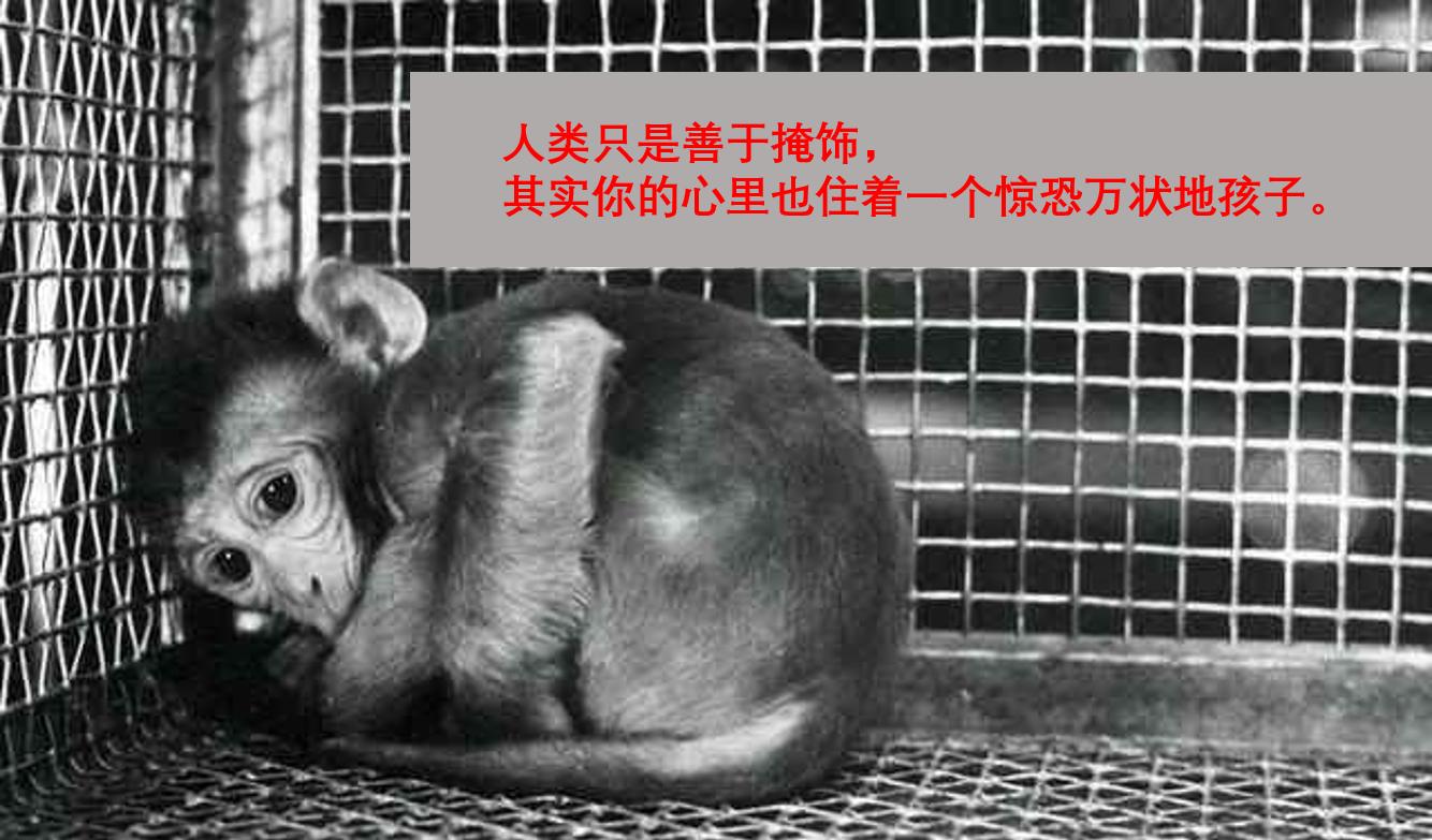 心智停滞抑郁症,心智抑郁症