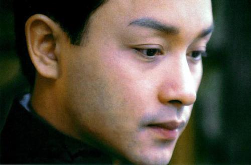 王源张国荣,张国荣王源