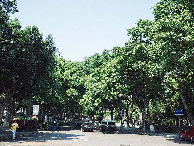 重庆怎么玩最合理景点推荐,重庆攻略一天怎么玩舒服