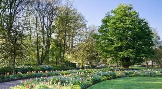 休闲农业的六种创意模式,今年最火爆的农业项目