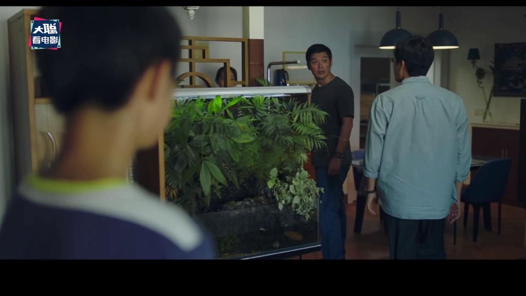 《隐秘的角落》象征含义和结局探讨，每个动物都有它的意义