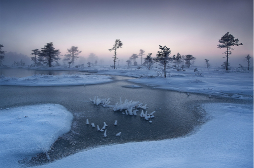冬天散文双语：周领顺《下雪的季节》