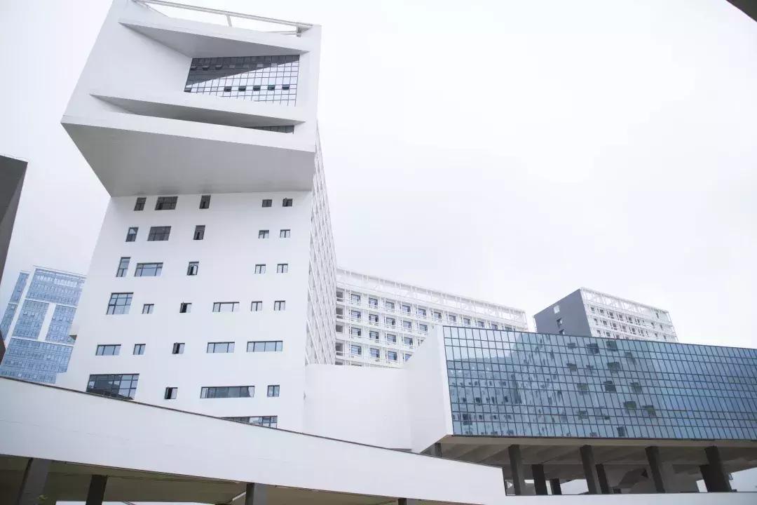 深圳大学游玩攻略一日游,深圳大学打卡攻略