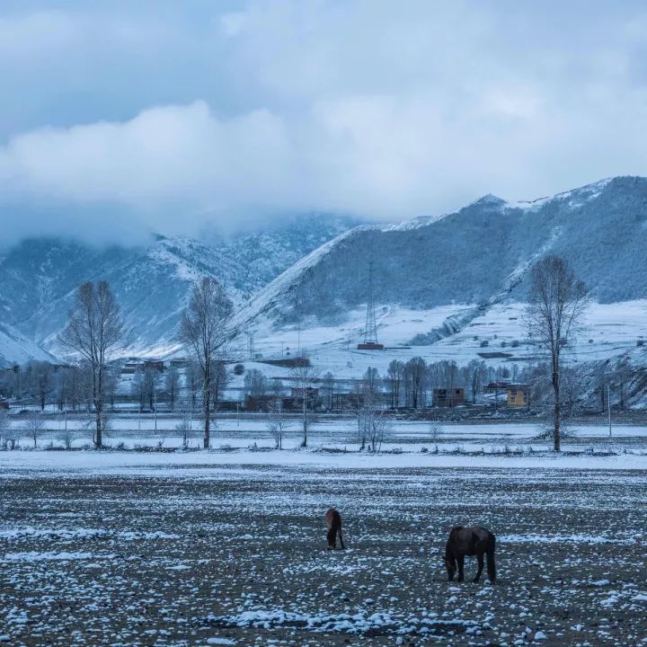 川西最美景点排行榜,四川冬季除了川西能去哪里