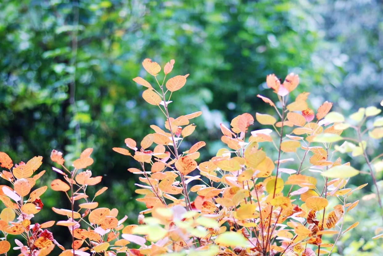 邯郸七步沟景区好玩吗多少钱,邯郸东太行七步沟景区的全景
