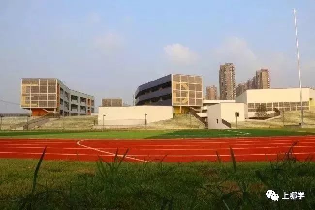 潜力股！上海16区黑马公办小学PK！谁会是下一个明珠、向阳？