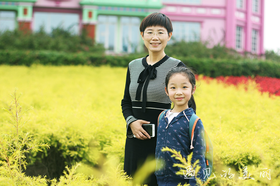 百万葵园有多坑,百万葵园免门票