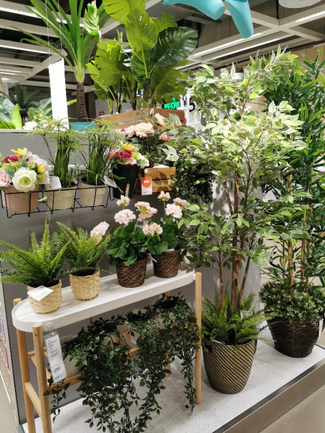 不同的城市住在一起的感受,什么样的城市才有宜家家居