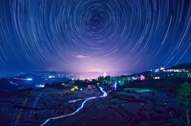 什么是云南品种,什么是云南的特色