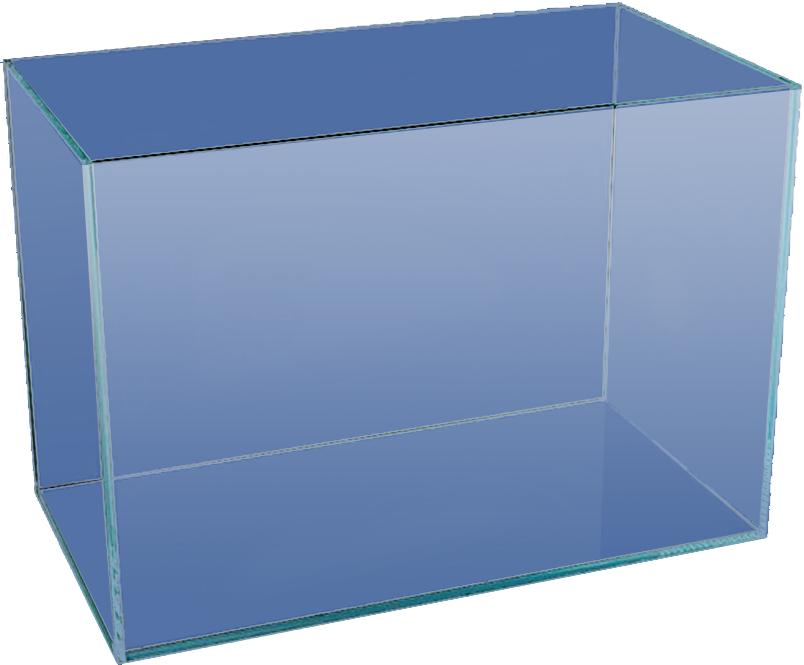 泰国斗鱼繁殖需要喂食吗,泰国斗鱼鱼苗多久可以开口喂食