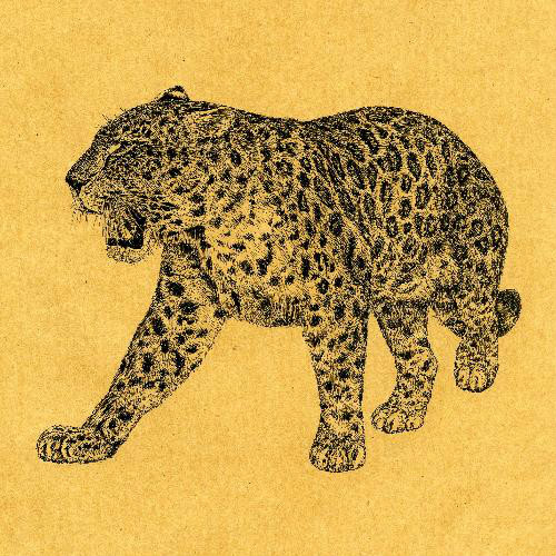 一百幅动物素描,近百幅动物画