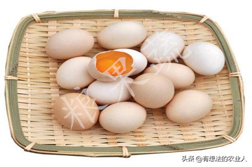 人造鸡蛋与真鸡蛋的辨别方法,人造鸡蛋与真鸡蛋的鉴别方法