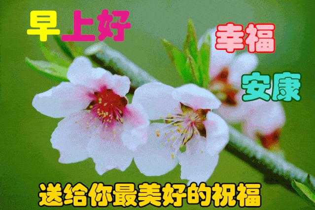 早上好周末愉快问候语动态表情包,周一问候早上好带字美图