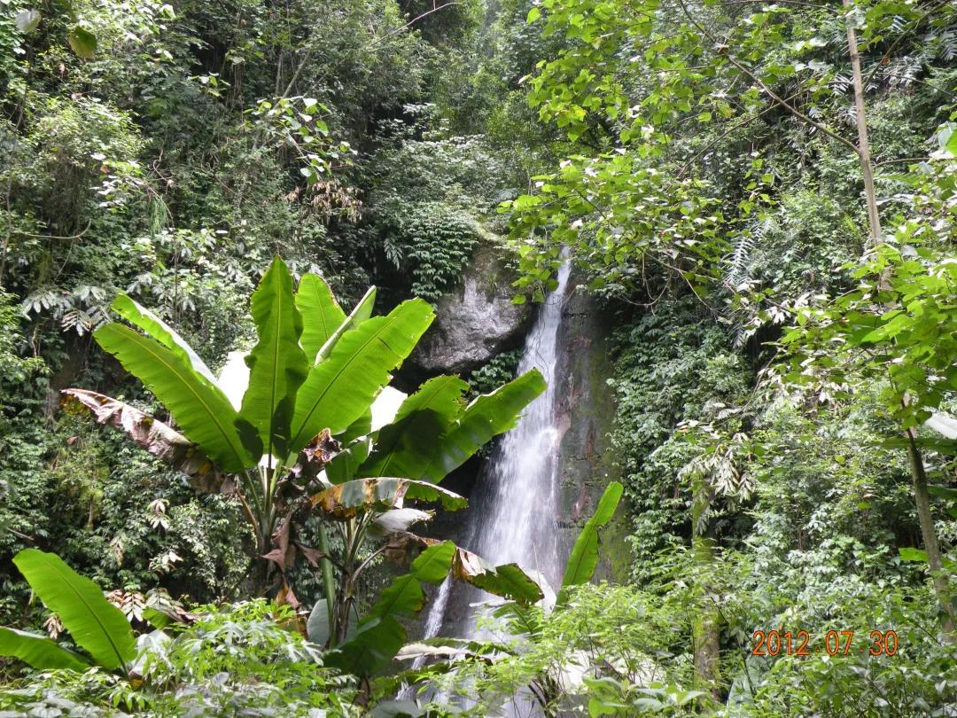 徒步云南虫谷,云南虫谷经典
