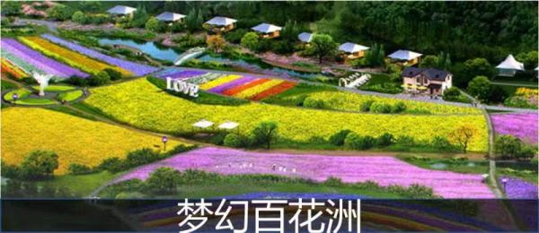 筑造1001|7公里到深圳，2.8公里地铁口，碧桂园天钻如何发光发亮