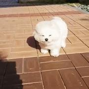 空中一字马搞笑图,一个突如其来的一字马