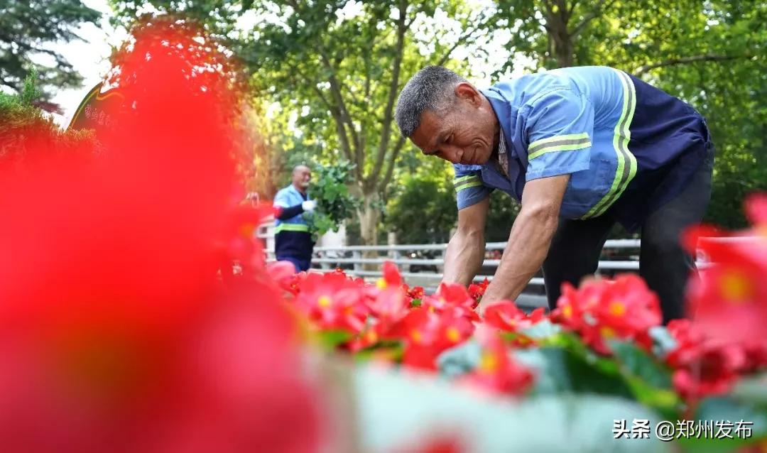 广州长隆野生动物园全览图,郑州第一野生动物园在什么地方
