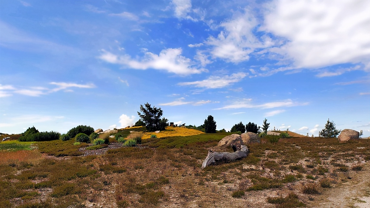 带弘字风华绝代的女孩名字,清新脱俗