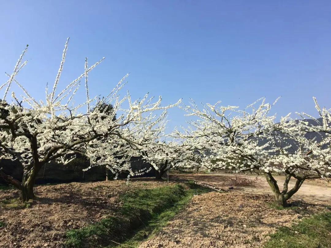 开奖啦开奖啦！凤翔首邑温泉票，新年第一份豪礼抱回家！看看是哪些幸运儿？