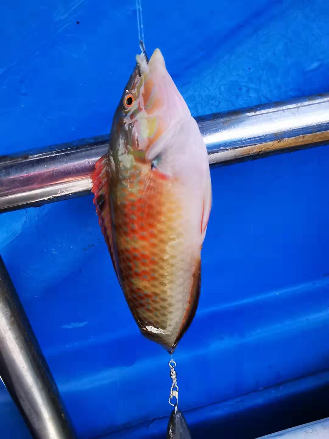 深圳马尔代夫游,深圳三门岛马尔代夫