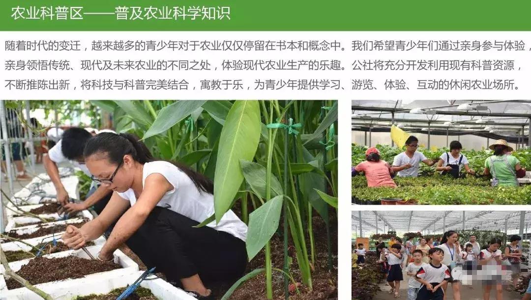 田园综合体类项目策划,田园综合体项目推介书ppt