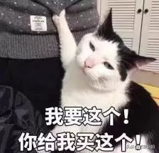 山下智久最近新闻,山下智久为什么被雪藏