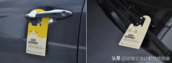 底盘进猫如何处理,车底进猫怎么办