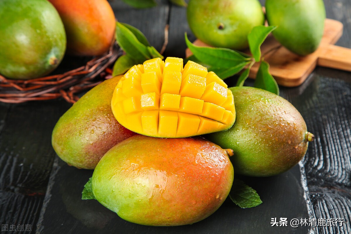 攀枝花康养胜地价格,攀枝花的康养基地冬天的价格